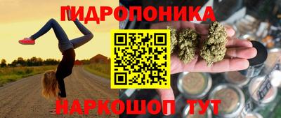 мяу мяу мука Азнакаево