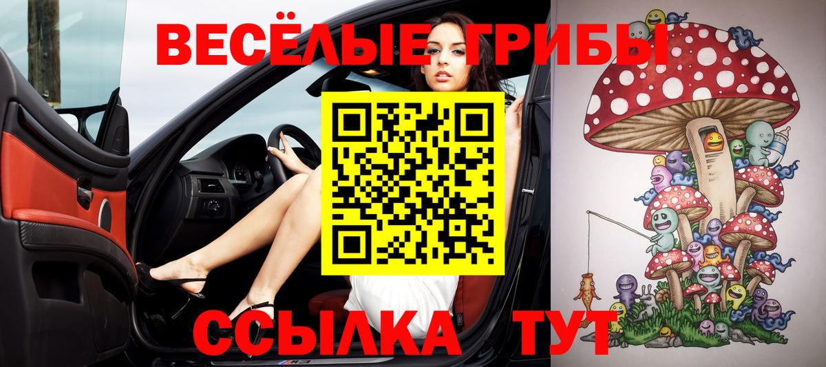 Россия  Галлюциногенные грибы Psilocybine cubensis  Вход с VPN 